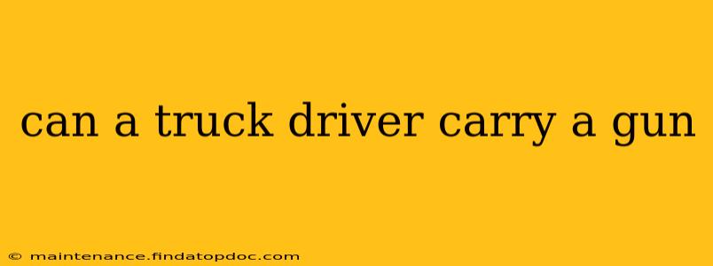 can a truck driver carry a gun