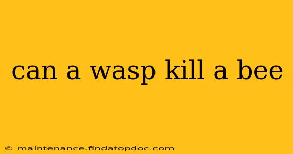can a wasp kill a bee