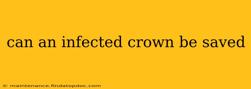 can an infected crown be saved