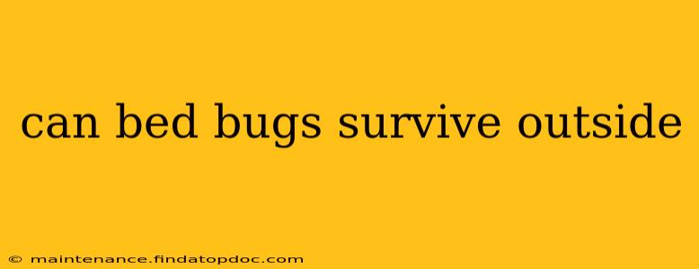 can bed bugs survive outside
