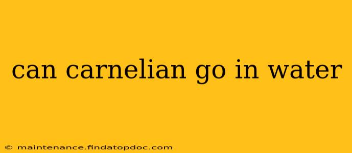 can carnelian go in water