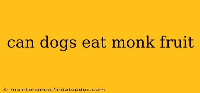 can dogs eat monk fruit