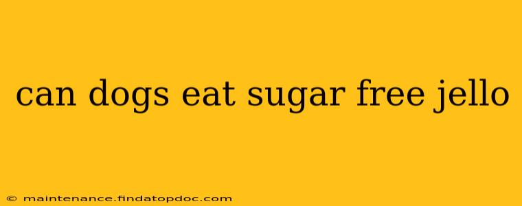 can dogs eat sugar free jello