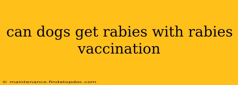 can dogs get rabies with rabies vaccination