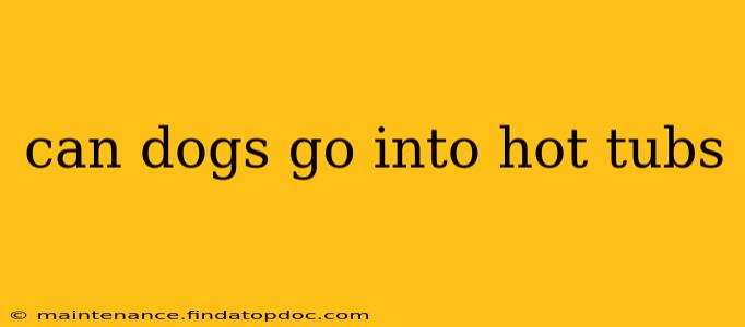 can dogs go into hot tubs