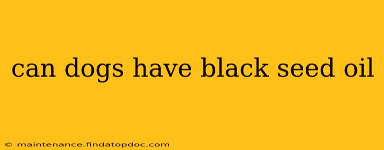 can dogs have black seed oil