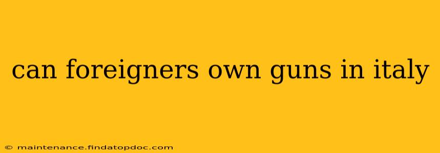 can foreigners own guns in italy