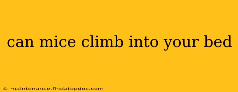 can mice climb into your bed