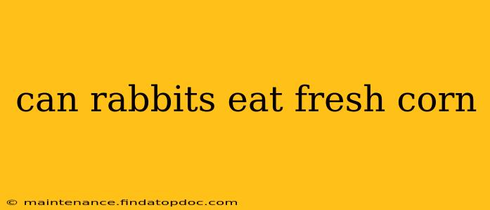 can rabbits eat fresh corn