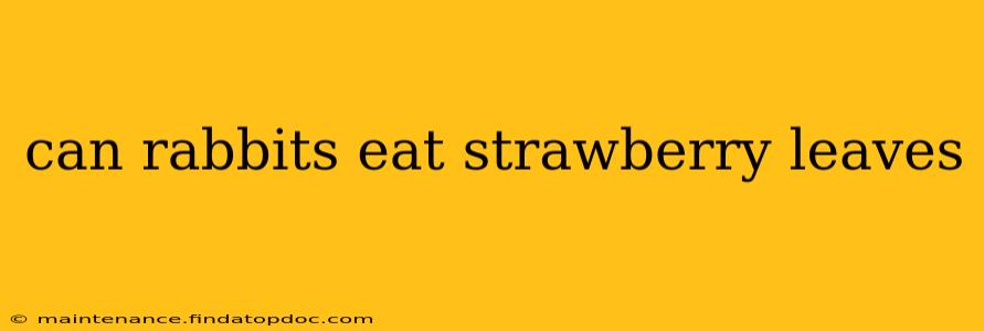 can rabbits eat strawberry leaves