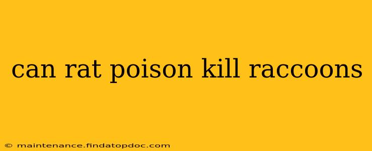can rat poison kill raccoons