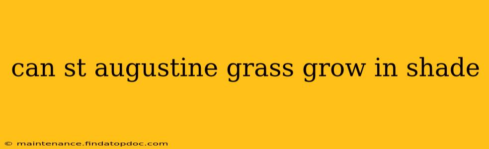 can st augustine grass grow in shade