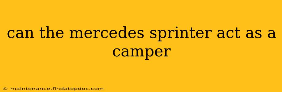 can the mercedes sprinter act as a camper