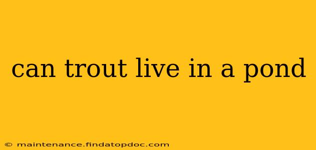 can trout live in a pond