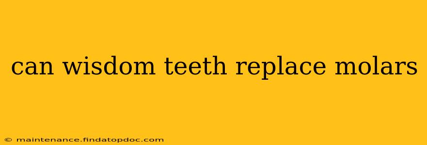 can wisdom teeth replace molars