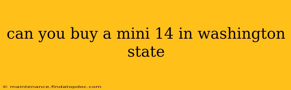 can you buy a mini 14 in washington state