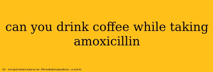can you drink coffee while taking amoxicillin