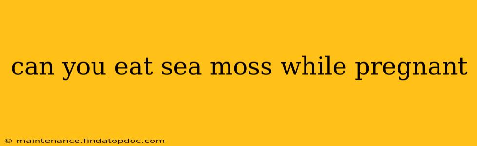 can you eat sea moss while pregnant