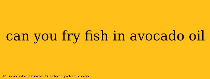 can you fry fish in avocado oil