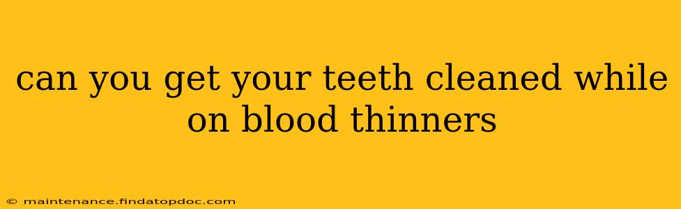 can you get your teeth cleaned while on blood thinners