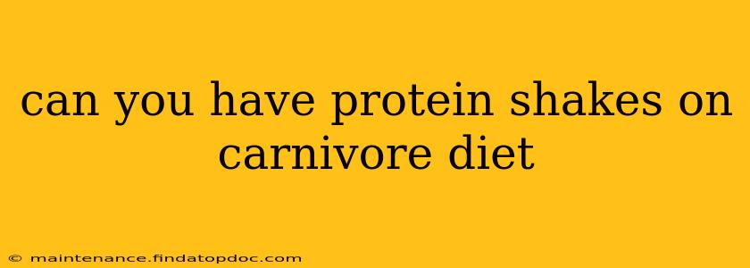 can you have protein shakes on carnivore diet