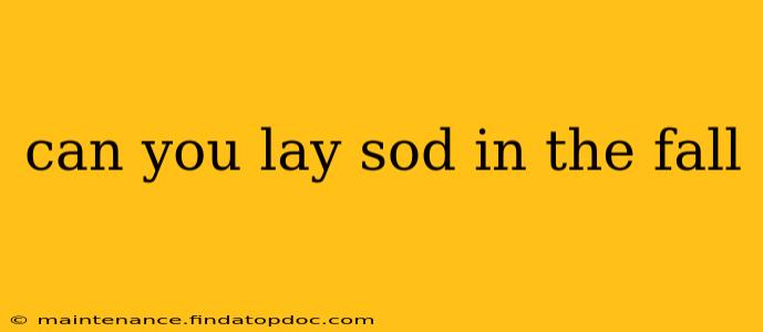 can you lay sod in the fall