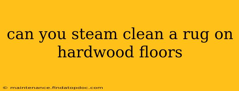 can you steam clean a rug on hardwood floors