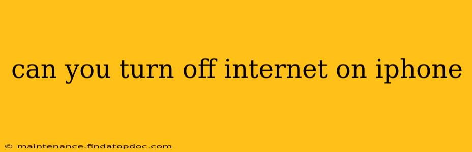 can you turn off internet on iphone