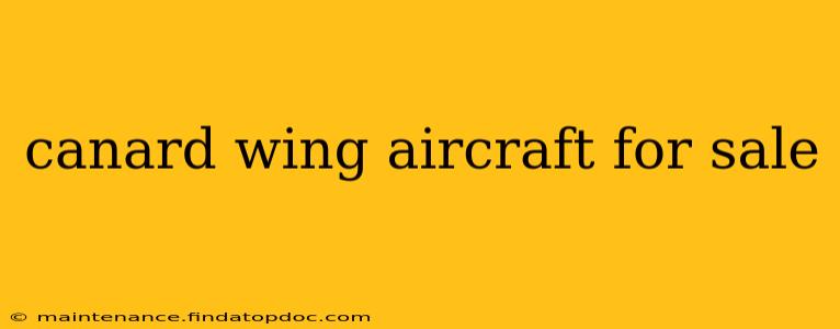 canard wing aircraft for sale