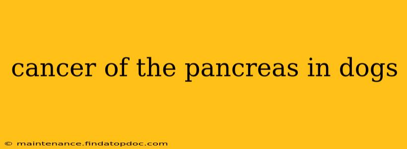 cancer of the pancreas in dogs