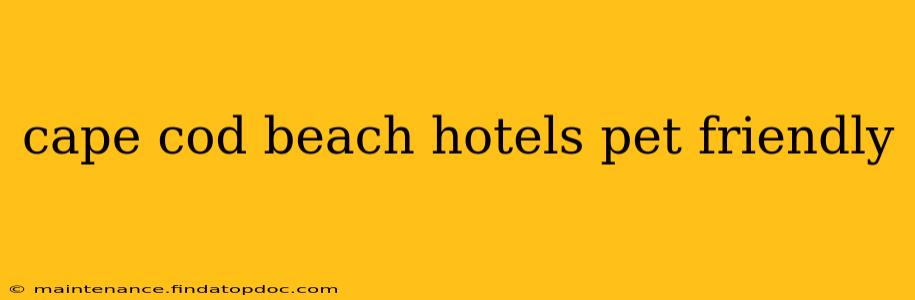 cape cod beach hotels pet friendly
