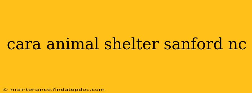 cara animal shelter sanford nc