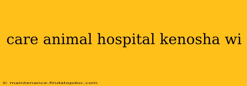 care animal hospital kenosha wi
