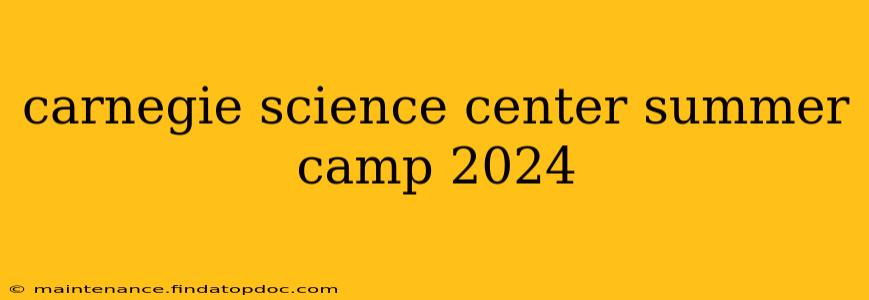 carnegie science center summer camp 2024