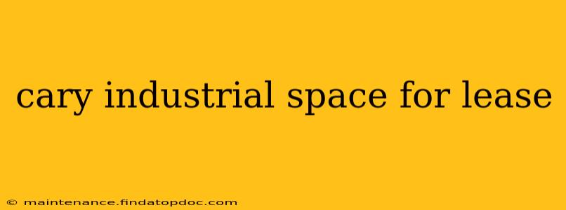 cary industrial space for lease