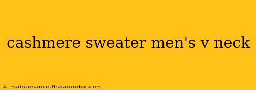 cashmere sweater men's v neck