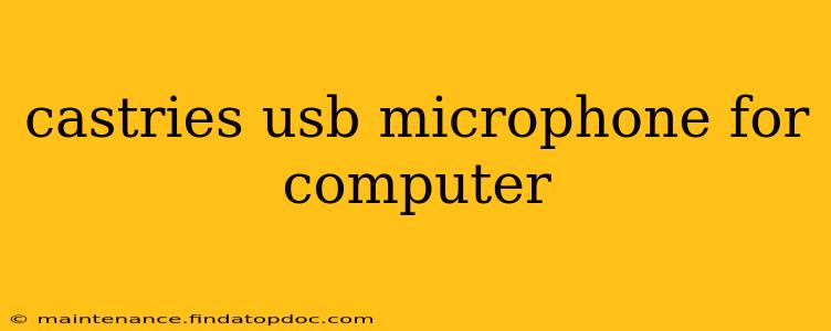 castries usb microphone for computer