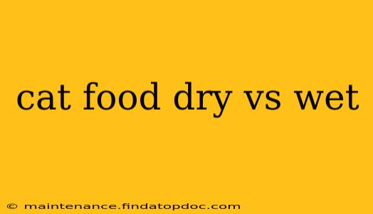 cat food dry vs wet