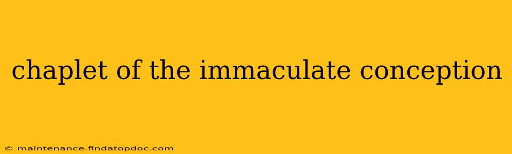 chaplet of the immaculate conception