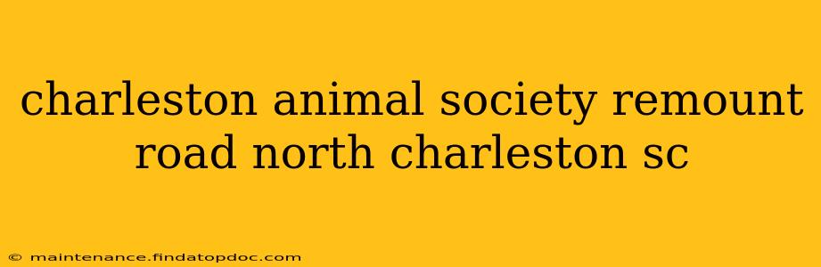 charleston animal society remount road north charleston sc