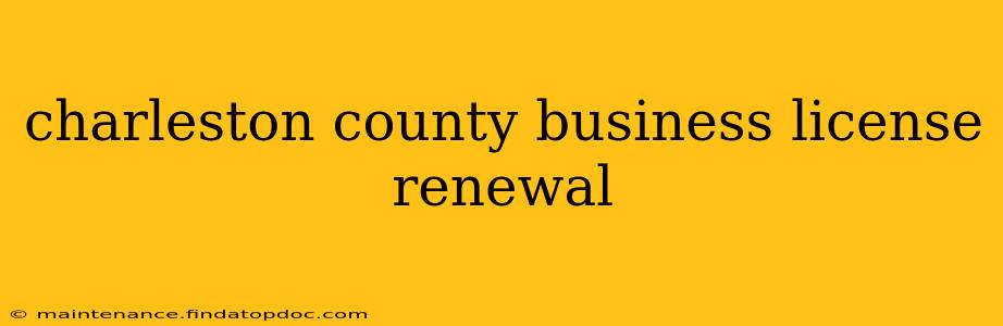 charleston county business license renewal
