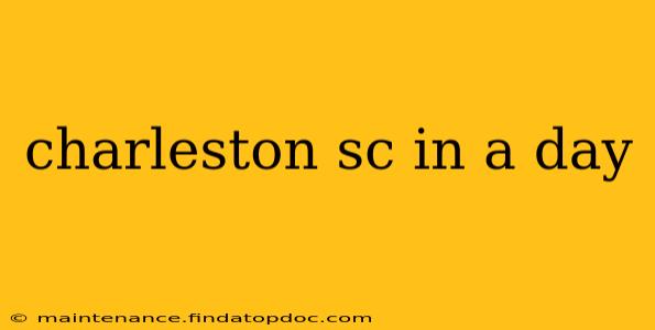 charleston sc in a day