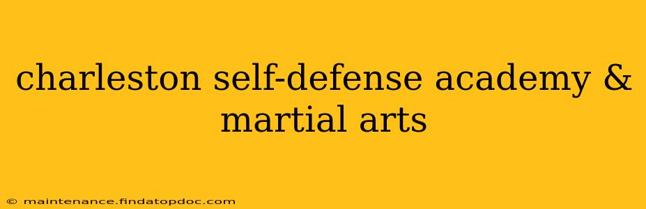 charleston self-defense academy & martial arts