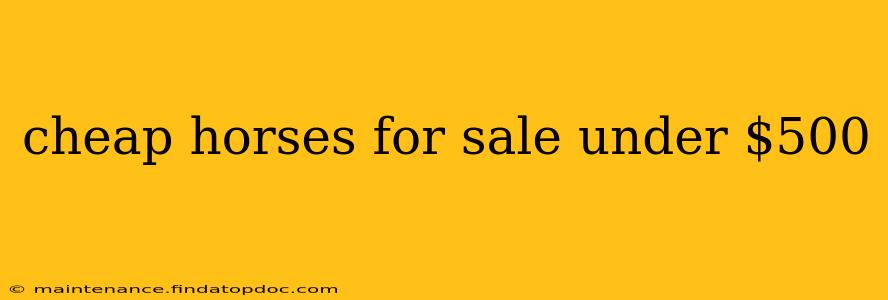 cheap horses for sale under $500