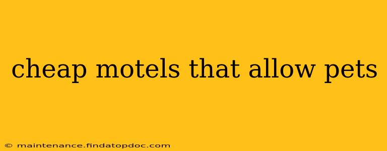 cheap motels that allow pets