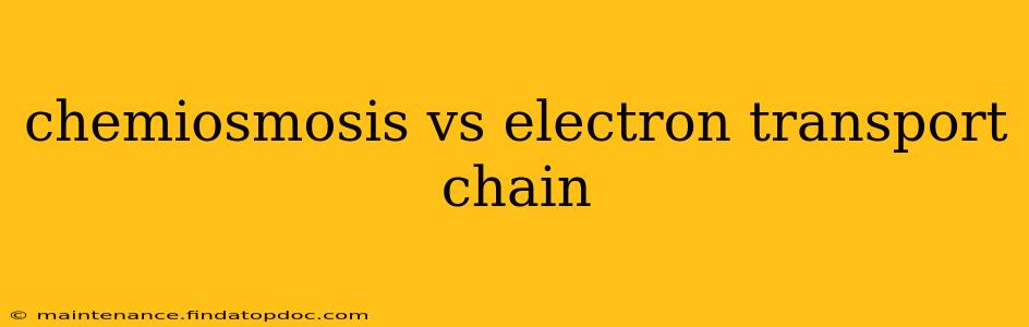 chemiosmosis vs electron transport chain