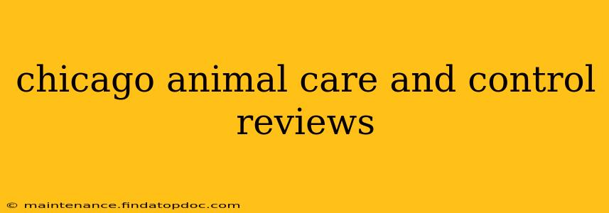 chicago animal care and control reviews