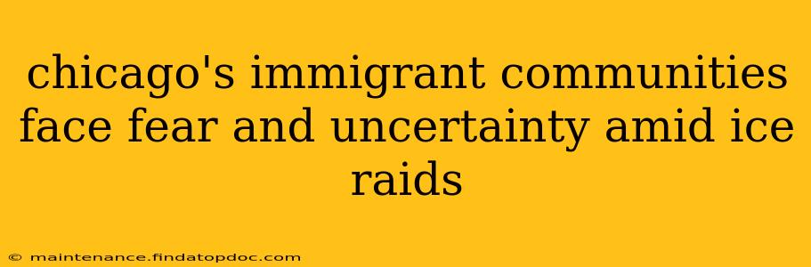 chicago's immigrant communities face fear and uncertainty amid ice raids