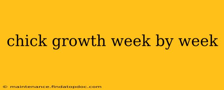 chick growth week by week
