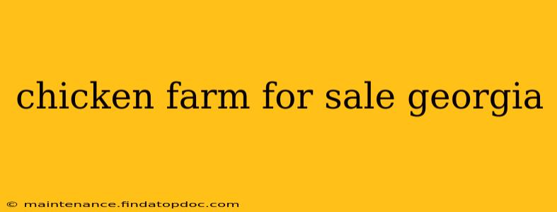 chicken farm for sale georgia